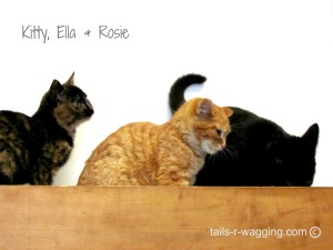 Kitty Ella Rosie