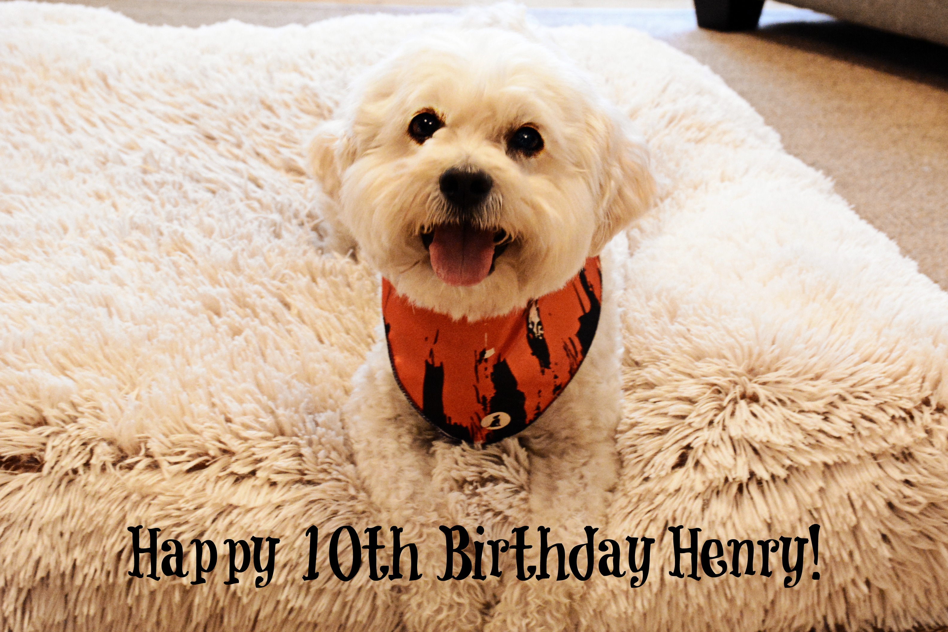 Henry is 10!